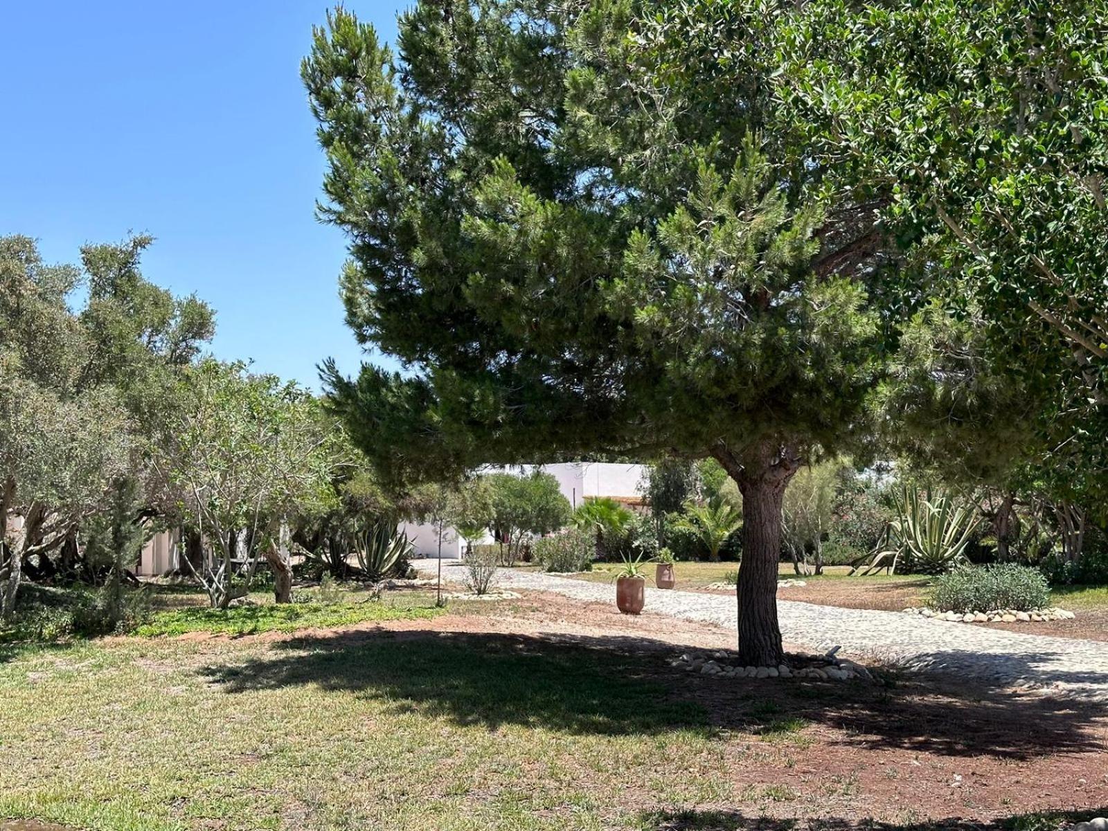 Domaine De L'Arganeraie Hotel Ghazoua Luaran gambar